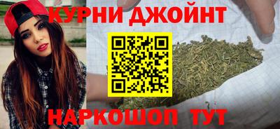 СК Гатчина