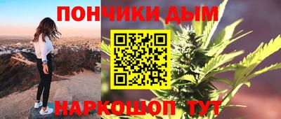 СК Гатчина
