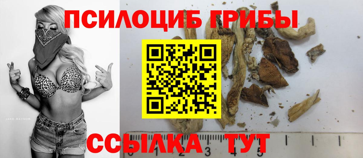 Псилоцибиновые грибы ЛСД Муравленко